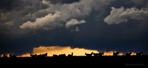 Storm clouds gathering in Kenya