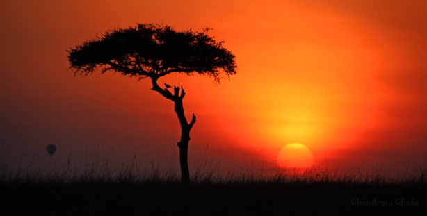 Sunset at Masai Mara