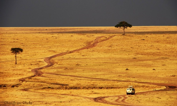 A road less travelled. In Kenya